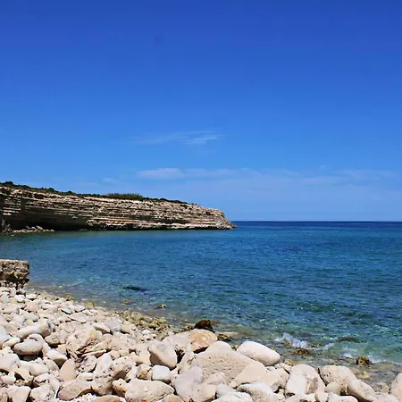 Dandrea