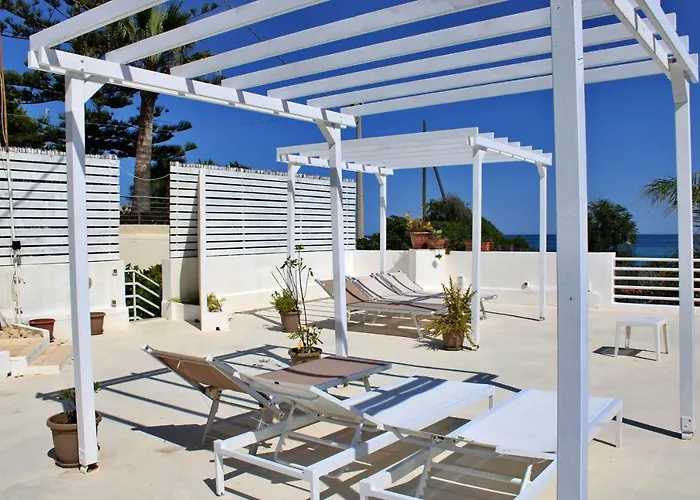 Dandrea アヴォラ